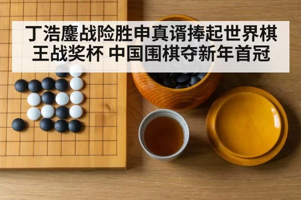 丁浩鏖战险胜申真谞捧起世界棋王战奖杯 中国围棋夺新年首冠
